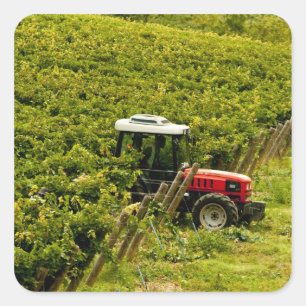 Pegatina Cuadrada Italia, Toscana, Greve. Recetas en el trabajo dura