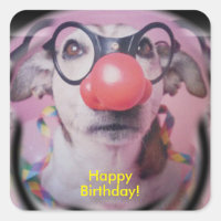 Jack Russell Terrier Feliz Cumpleaños Payaso Loco