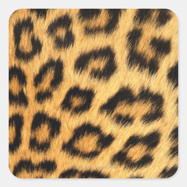 Pegatina Cuadrada Jaguar Fur (Anverso)