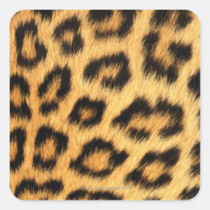 Pegatina Cuadrada Jaguar Fur