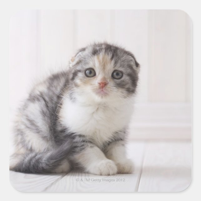 Pegatina Cuadrada Japón 5 (Anverso)