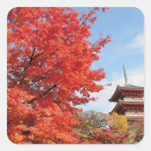 Pegatina Cuadrada Japón, Kyoto. Templo Kiyomizu en color de otoño