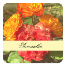 Jardín De Flores Rojas Y naranja