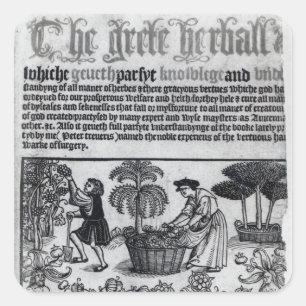 Pegatina Cuadrada Jardín de hierbas medieval