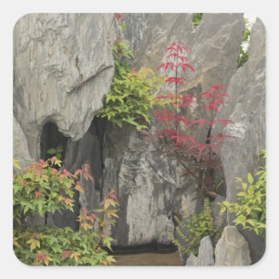 Pegatina Cuadrada Jardín de la familia Bao, Huangshan, China.