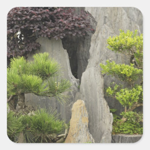 Pegatina Cuadrada Jardín de la familia Bao, Huangshan, China. 2