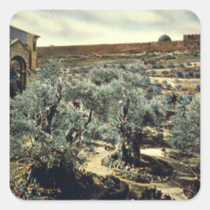 Pegatina Cuadrada Jardín del vintage de Gethsemane Jerusalén Israel