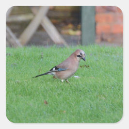 Pegatina Cuadrada Jay