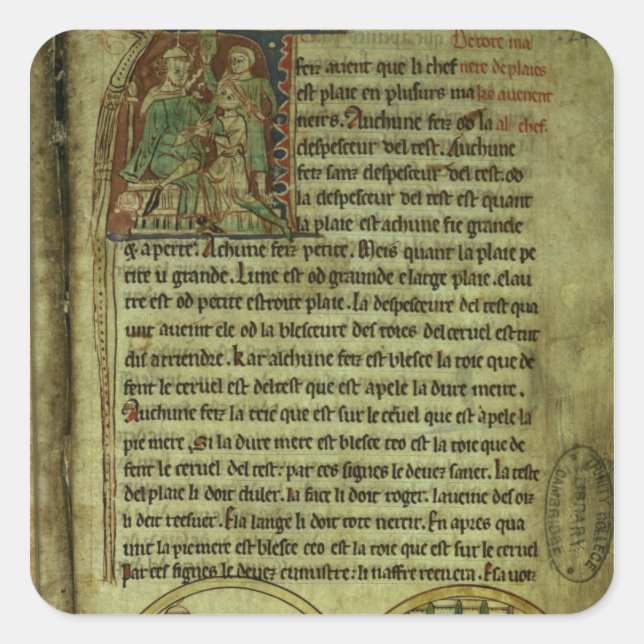 Pegatina Cuadrada Jerome: Un médica visitando a un paciente (Anverso)