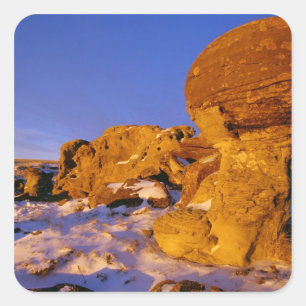 Pegatina Cuadrada Jerusalén roca en invierno cerca de hierba dulce