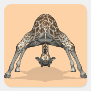 Pegatina Cuadrada Jirafa Flexible