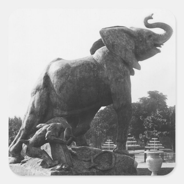 Pegatina Cuadrada Joven elefante atrapado en una trampa (Anverso)