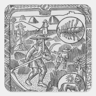 Pegatina Cuadrada Julio, fabricación de herradura, cáncer