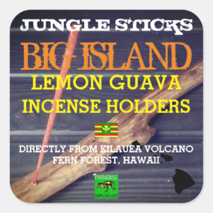 PEGATINA CUADRADA JUNGLE STICKS LEMON GUAVA INCENSE HOLDERS