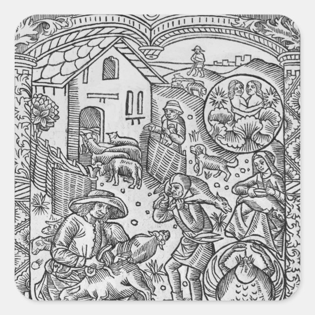 Pegatina Cuadrada Junio, esquivamiento de ovejas, Gemini (Anverso)