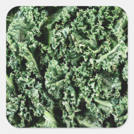 Pegatina Cuadrada Kale