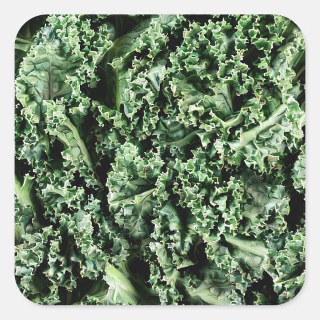 Pegatina Cuadrada Kale (Anverso)