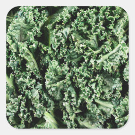 Pegatina Cuadrada Kale