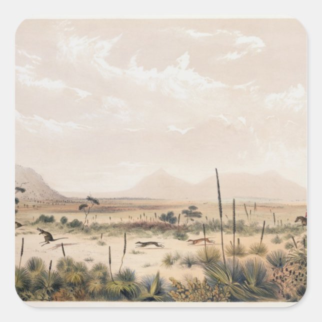 Pegatina Cuadrada Kangaroo Hunt (Anverso)