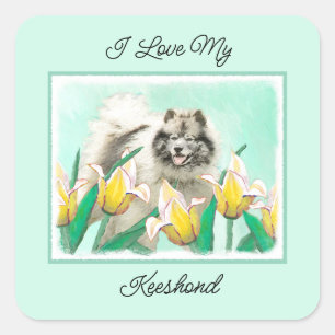 Pegatina Cuadrada Keeshond en tulipanes pintando arte original del p