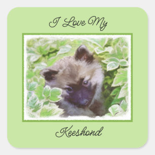 Pegatina Cuadrada Keeshond Puppy en el jardín pintando arte original