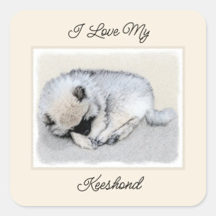 Pegatina Cuadrada Keeshond Sleeping Pinting Pintura Original De Perr