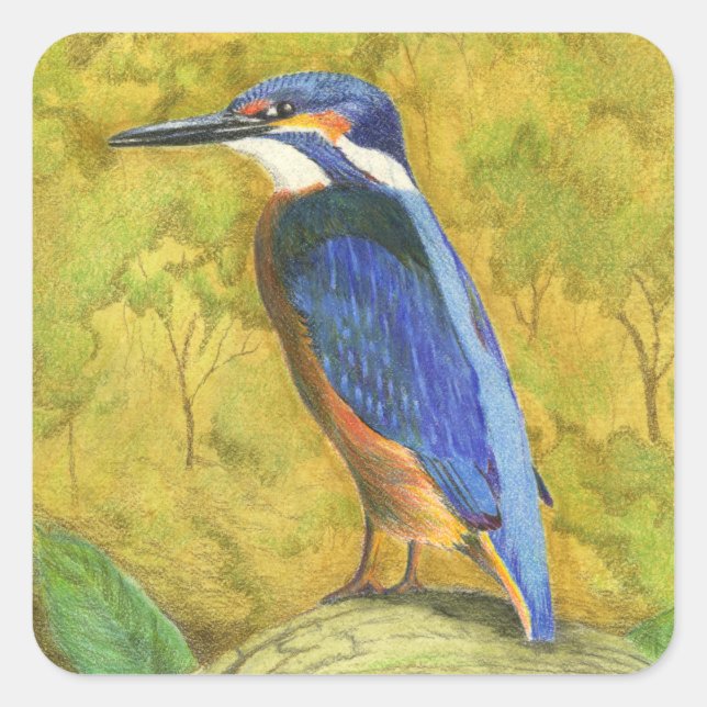 Pegatina Cuadrada Kingfisher (Anverso)