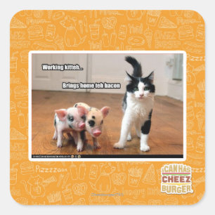 Pegatina Cuadrada Kitteh de trabajo
