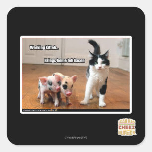 Pegatina Cuadrada Kitteh de trabajo