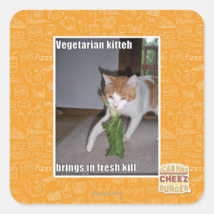 Pegatina Cuadrada Kitteh vegetariana