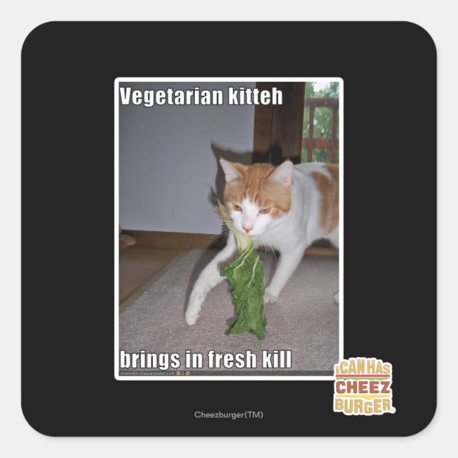 Pegatina Cuadrada Kitteh vegetariano (Anverso)