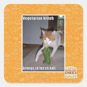 Pegatina Cuadrada Kitteh vegetariano
