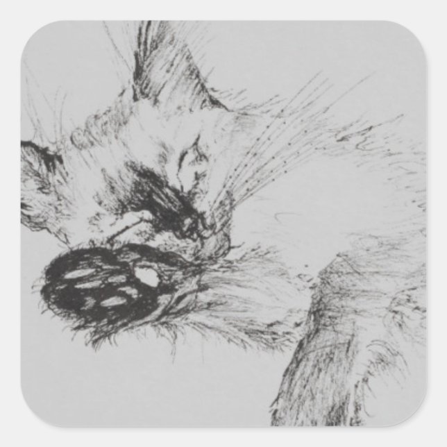 Pegatina Cuadrada Kitty "Baby" (Anverso)