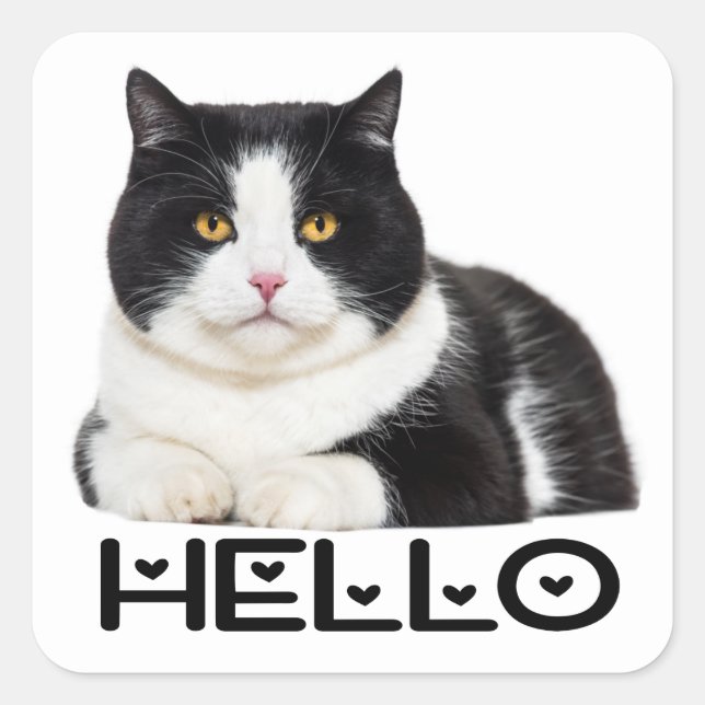 Pegatina Cuadrada Kitty Black Kitten Hello Cat (Anverso)