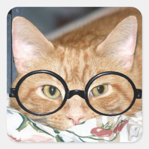 Pegatina Cuadrada Kitty con gafas