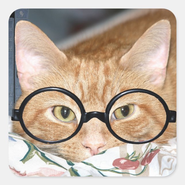 Pegatina Cuadrada Kitty con gafas (Anverso)