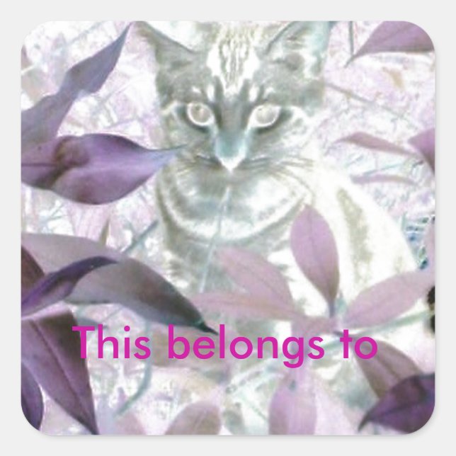 Pegatina Cuadrada Kitty Foliage Púrpura Pertenece A (Anverso)