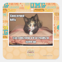 Kitty preocupado