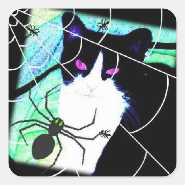 Pegatina Cuadrada KittyCatSpiderWeb (Anverso)