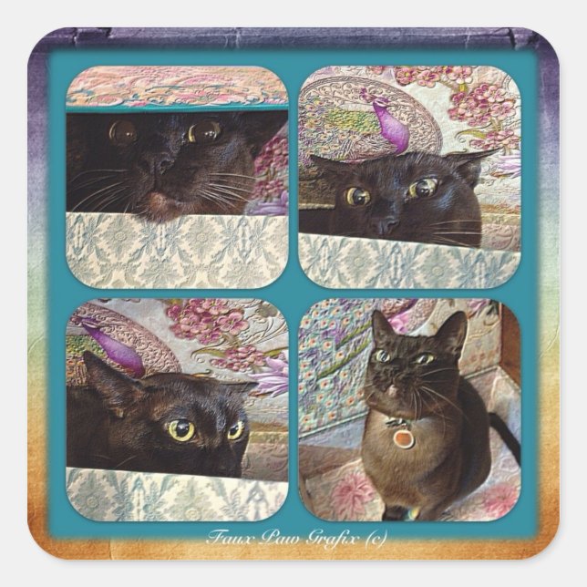 Pegatina Cuadrada Kiwi en una caja, serie 1, cuatro imágenes (Anverso)