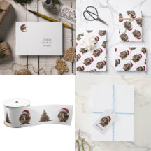 Kiwi pájaro de Navidad lindo personalizado sombrer