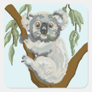 Pegatina Cuadrada Koala