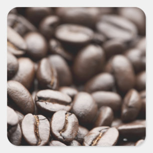 Pegatina Cuadrada Kona Purple Mountain granos de café orgánicos