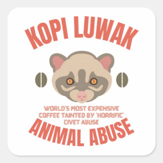 Pegatina Cuadrada Kopi Luwak Animal Abus - Café Luwak