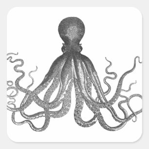 Pegatina Cuadrada Kraken - Octopus gigante negro / Cthulu