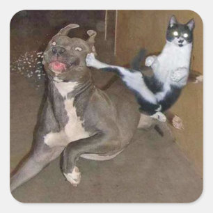 Pegatina Cuadrada Kung Fu Kitty