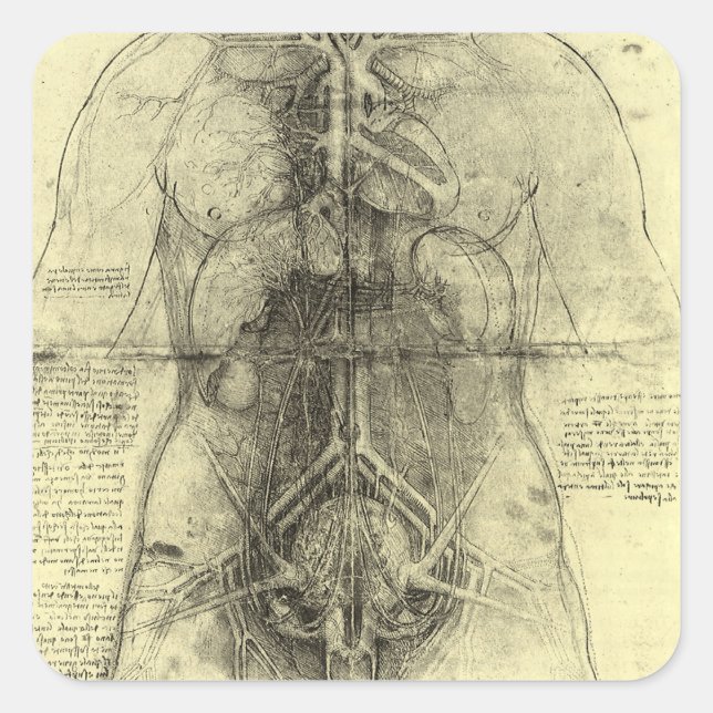 Pegatina Cuadrada La anatomía humana de Leonardo da Vinci (Anverso)