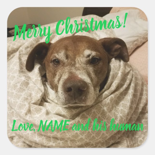 Pegatina Cuadrada La bala de amor y su humano (Anverso)