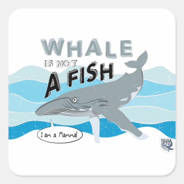 Pegatina Cuadrada La ballena no es un pez (Anverso)