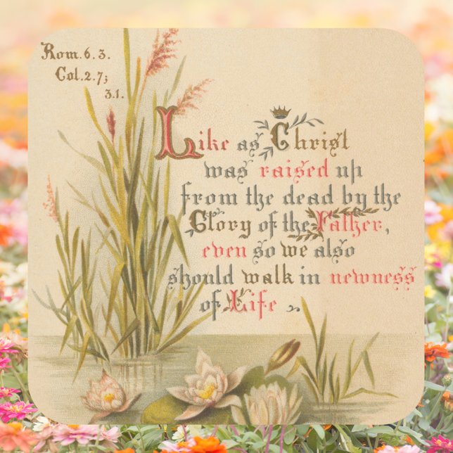 Pegatina Cuadrada La Biblia Cristiana Católica Cristo es la Pascua A (Religious Christian Catholic Bible Verse Resurrection Jesus Christ is Risen Easter Square Sticker)